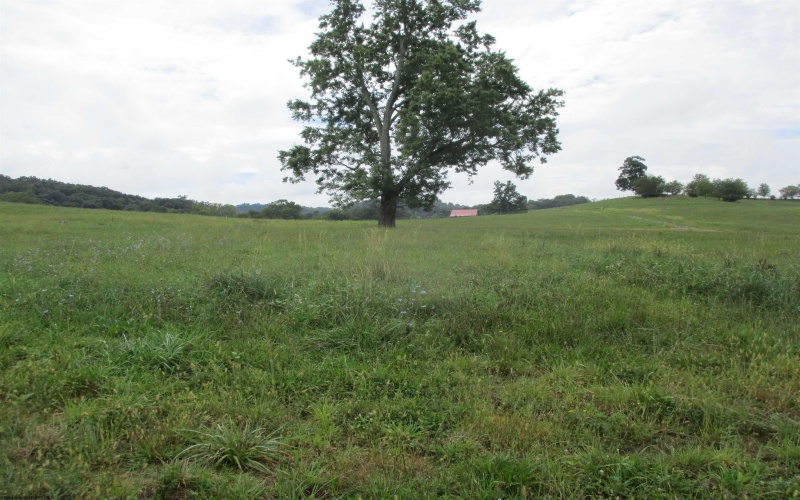 Lot 7 Sunset Drive, Buckhannon, West Virginia 26201, ,Lots/land,For Sale,Sunset,10150763