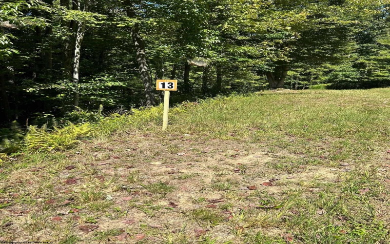 Lot 13 Countryside Drive, Buckhannon, West Virginia 26201, ,Lots/land,For Sale,Countryside,10150913