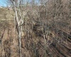 TBD Norwood Court, Morgantown, West Virginia 26508, ,Lots/land,For Sale,Norwood,10156232