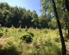 TB Preston Highway, Tunnelton, West Virginia 26444, ,Lots/land,For Sale,Preston,10156259