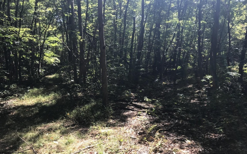 TB Preston Highway, Tunnelton, West Virginia 26444, ,Lots/land,For Sale,Preston,10156259