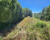 TB Preston Highway, Tunnelton, West Virginia 26444, ,Lots/land,For Sale,Preston,10156259