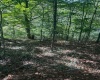 TBD Cemetery Road, Orlando, West Virginia 26412, ,Lots/land,For Sale,Cemetery,10156266