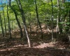 TBD Cemetery Road, Orlando, West Virginia 26412, ,Lots/land,For Sale,Cemetery,10156266