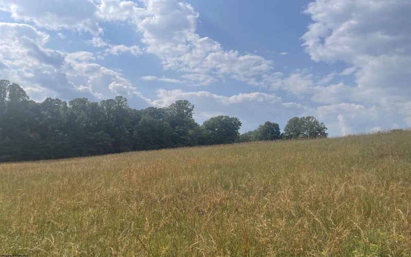 4354A Grafton Road, Morgantown, West Virginia 26508, ,Lots/land,For Sale,Grafton,10156271