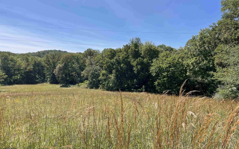 4354A Grafton Road, Morgantown, West Virginia 26508, ,Lots/land,For Sale,Grafton,10156271