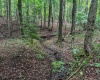 0 Weidman Run Road, Wheeling, West Virginia 26003, ,Lots/land,For Sale,Weidman Run,10156295