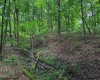 0 Weidman Run Road, Wheeling, West Virginia 26003, ,Lots/land,For Sale,Weidman Run,10156295