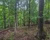 0 Weidman Run Road, Wheeling, West Virginia 26003, ,Lots/land,For Sale,Weidman Run,10156295