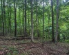 0 Weidman Run Road, Wheeling, West Virginia 26003, ,Lots/land,For Sale,Weidman Run,10156295