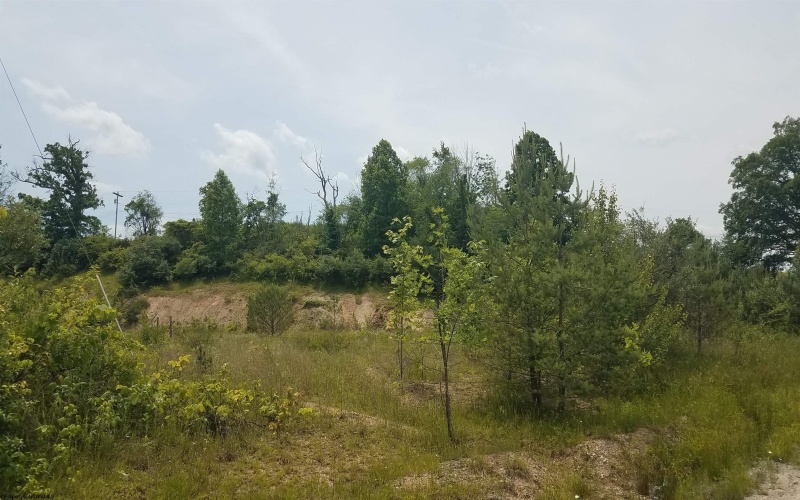 2290 Beverly Pike, Elkins, West Virginia 26241, ,Lots/land,For Sale,Beverly,10150345