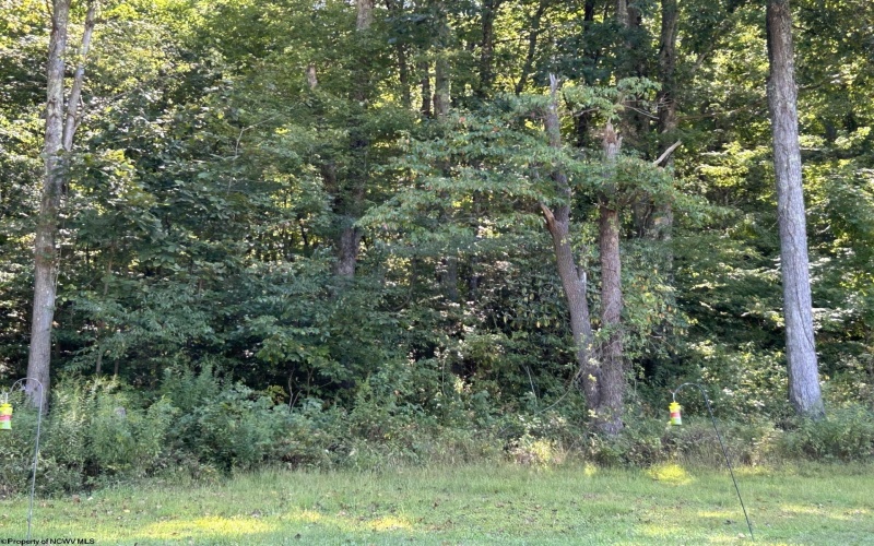 Lot 1 East Run Circle, Four States, West Virginia 26572, ,Lots/land,For Sale,East Run,10156298