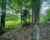 Lot 33 Canal Street, Davis, West Virginia 26260, ,Lots/land,For Sale,Canal,10156309