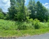 Lot 33 Canal Street, Davis, West Virginia 26260, ,Lots/land,For Sale,Canal,10156309