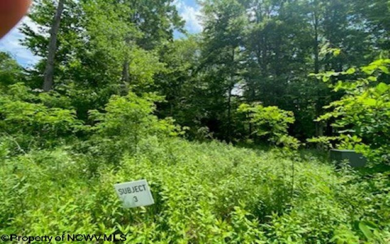 Lot 33 Canal Street, Davis, West Virginia 26260, ,Lots/land,For Sale,Canal,10156309