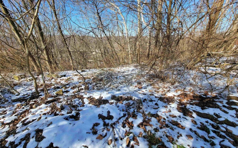 Lot 12 Overlook Drive, Bridgeport, West Virginia 26330, ,Lots/land,For Sale,Overlook,10147510