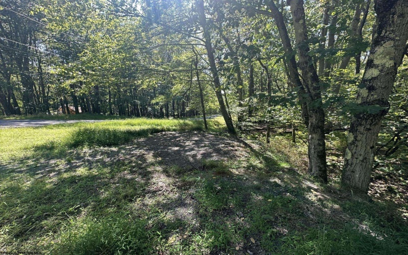 Lots 237 & 238 Daylily Circle, Terra Alta, West Virginia 26764, ,Lots/land,For Sale,Daylily,10156351