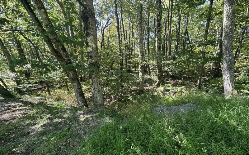 Lots 237 & 238 Daylily Circle, Terra Alta, West Virginia 26764, ,Lots/land,For Sale,Daylily,10156351