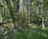 Lots 237 & 238 Daylily Circle, Terra Alta, West Virginia 26764, ,Lots/land,For Sale,Daylily,10156351