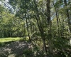 Lots 237 & 238 Daylily Circle, Terra Alta, West Virginia 26764, ,Lots/land,For Sale,Daylily,10156351