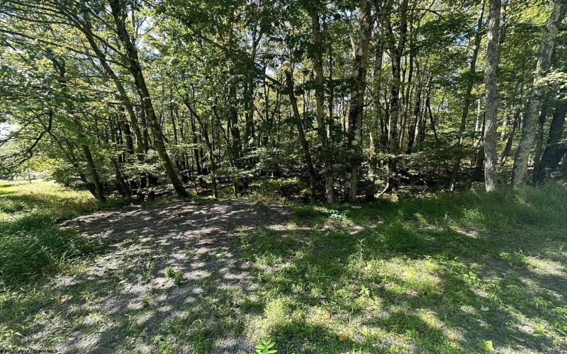 Lots 237 & 238 Daylily Circle, Terra Alta, West Virginia 26764, ,Lots/land,For Sale,Daylily,10156351