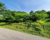 TBD Hendricks Hill Road, Hambleton, West Virginia 26269, ,Lots/land,For Sale,Hendricks Hill,10156345