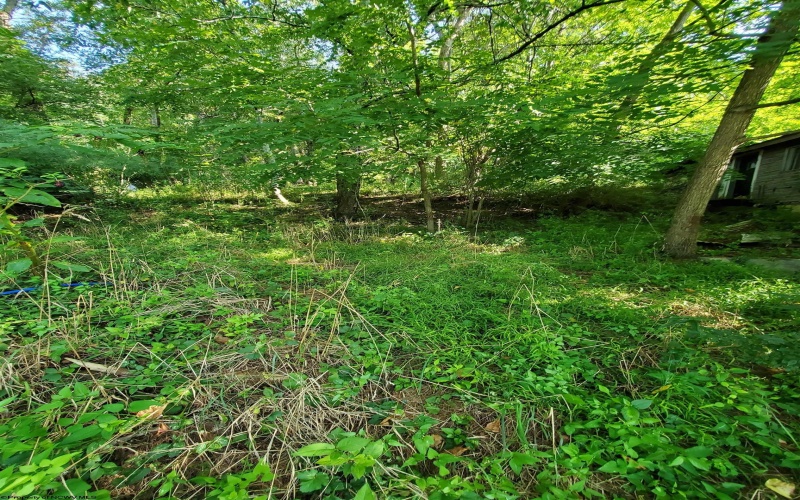 TBD Hendricks Hill Road, Hambleton, West Virginia 26269, ,Lots/land,For Sale,Hendricks Hill,10156345