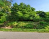 TBD Hendricks Hill Road, Hambleton, West Virginia 26269, ,Lots/land,For Sale,Hendricks Hill,10156345