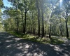 Lots 50 & 51 Beebalm Court, Terra Alta, West Virginia 26764, ,Lots/land,For Sale,Beebalm,10156387