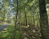 Lots 50 & 51 Beebalm Court, Terra Alta, West Virginia 26764, ,Lots/land,For Sale,Beebalm,10156387