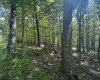 Lots 50 & 51 Beebalm Court, Terra Alta, West Virginia 26764, ,Lots/land,For Sale,Beebalm,10156387