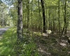 Lots 50 & 51 Beebalm Court, Terra Alta, West Virginia 26764, ,Lots/land,For Sale,Beebalm,10156387