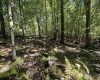 Lots 50 & 51 Beebalm Court, Terra Alta, West Virginia 26764, ,Lots/land,For Sale,Beebalm,10156387