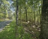 Lots 50 & 51 Beebalm Court, Terra Alta, West Virginia 26764, ,Lots/land,For Sale,Beebalm,10156387