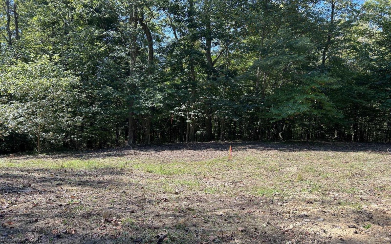 Lot 5 East Run Circle, Four States, West Virginia 26572, ,Lots/land,For Sale,East Run,10156386