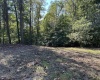 Lot 5 East Run Circle, Four States, West Virginia 26572, ,Lots/land,For Sale,East Run,10156386