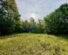 TBD Knobtown Road, Belington, West Virginia 26250, ,Lots/land,For Sale,Knobtown,10156413