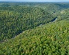 TBD Knobtown Road, Belington, West Virginia 26250, ,Lots/land,For Sale,Knobtown,10156413