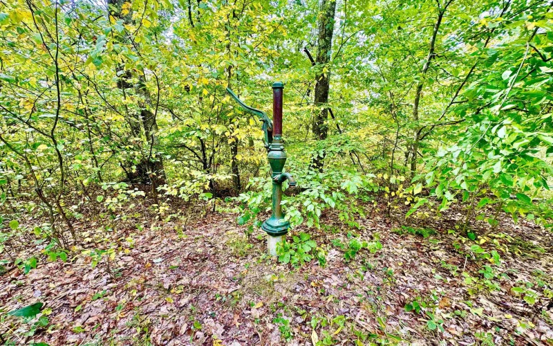 TBD Knobtown Road, Belington, West Virginia 26250, ,Lots/land,For Sale,Knobtown,10156413