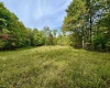 TBD Knobtown Road, Belington, West Virginia 26250, ,Lots/land,For Sale,Knobtown,10156413