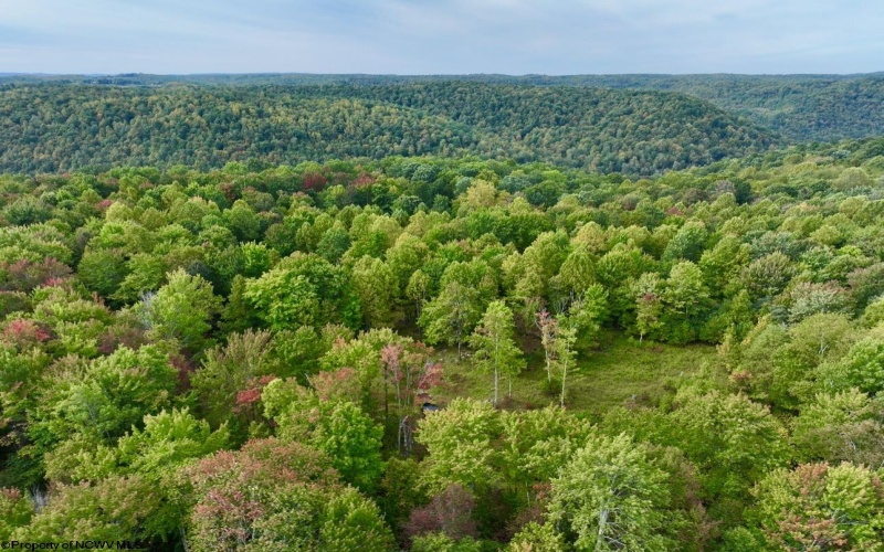 TBD Knobtown Road, Belington, West Virginia 26250, ,Lots/land,For Sale,Knobtown,10156413