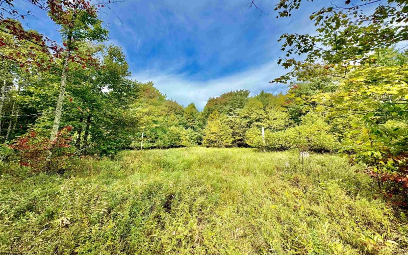 TBD Knobtown Road, Belington, West Virginia 26250, ,Lots/land,For Sale,Knobtown,10156413