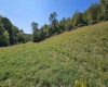 TBD Rear (RR), Mount Clare, West Virginia 26408, ,Lots/land,For Sale,Rear,10156448