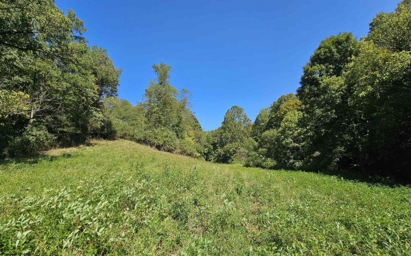 TBD Rear (RR), Mount Clare, West Virginia 26408, ,Lots/land,For Sale,Rear,10156448