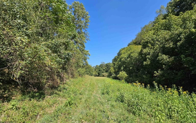 TBD Rear (RR), Mount Clare, West Virginia 26408, ,Lots/land,For Sale,Rear,10156448