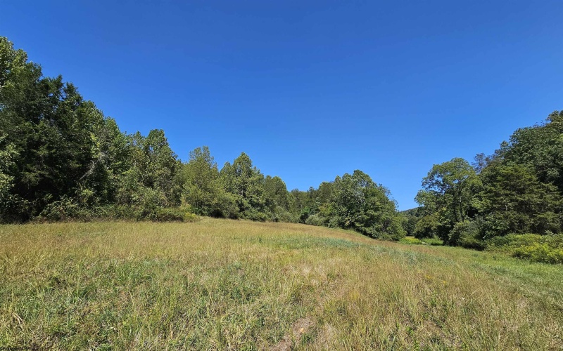 TBD Rear (RR), Mount Clare, West Virginia 26408, ,Lots/land,For Sale,Rear,10156448