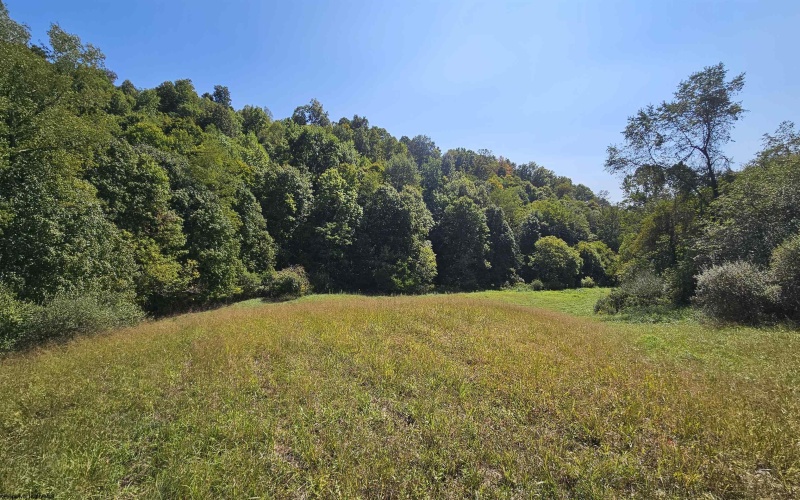 TBD Rear (RR), Mount Clare, West Virginia 26408, ,Lots/land,For Sale,Rear,10156448