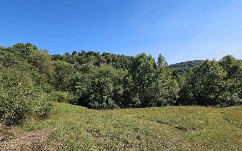 TBD Rear (RR), Mount Clare, West Virginia 26408, ,Lots/land,For Sale,Rear,10156448