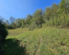 TBD Rear (RR), Mount Clare, West Virginia 26408, ,Lots/land,For Sale,Rear,10156448