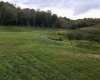 Lot 2 Island Road, Junior, West Virginia 26275, ,Lots/land,For Sale,Island,10156475